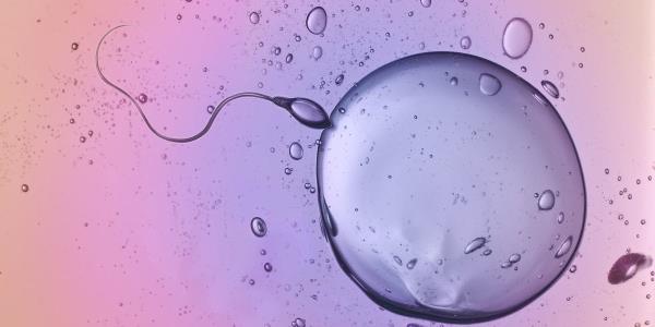 科学家发现精子可以“无视物理定律”